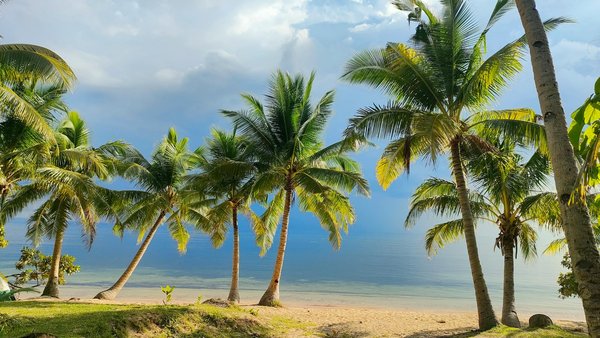Welche Zertifikate kennzeichnen umweltfreundliche Kreuzfahrten?