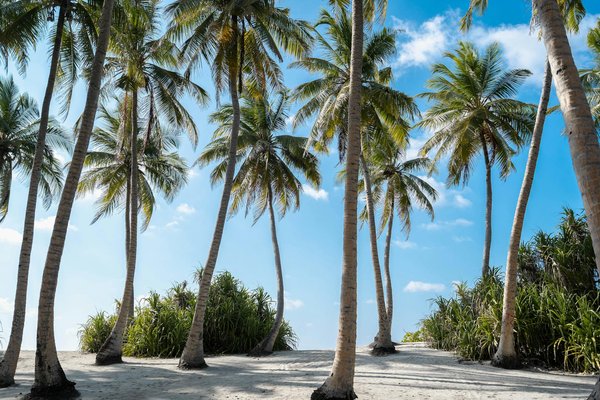 Welche Vorteile hat der Verzicht auf Massenreisen?